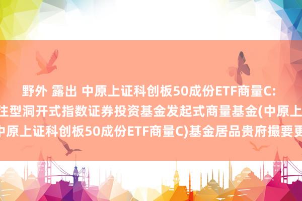 野外 露出 中原上证科创板50成份ETF商量C: 中原上证科创板50成份交往型洞开式指数证券投资基金发起式商量基金(中原上证科创板50成份ETF商量C)基金居品贵府撮要更新(2024-11-28)