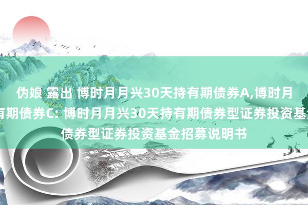 伪娘 露出 博时月月兴30天持有期债券A,博时月月兴30天持有期债券C: 博时月月兴30天持有期债券型证券投资基金招募说明书