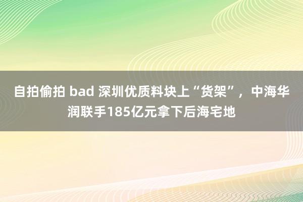自拍偷拍 bad 深圳优质料块上“货架”，中海华润联手185亿元拿下后海宅地