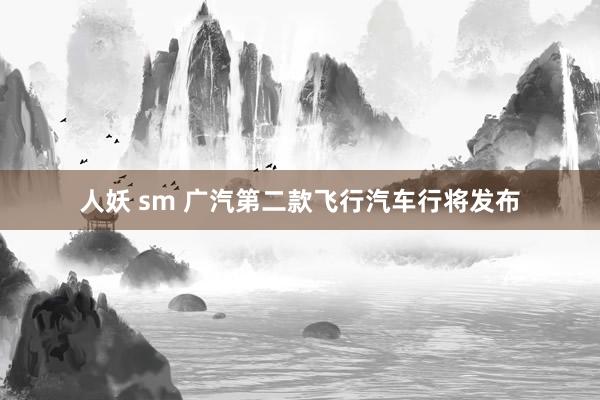 人妖 sm 广汽第二款飞行汽车行将发布