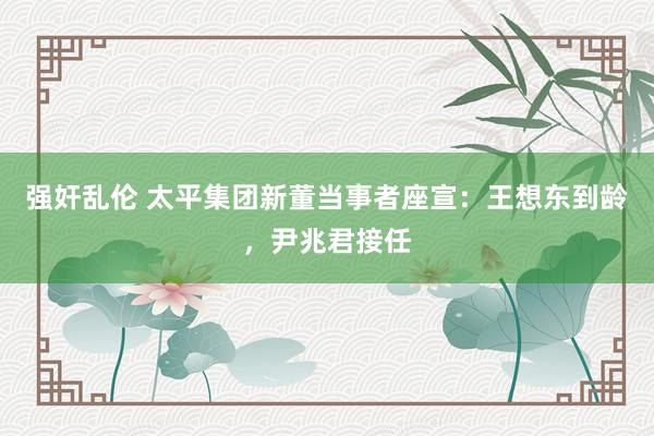 强奸乱伦 太平集团新董当事者座宣：王想东到龄，尹兆君接任