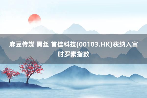 麻豆传媒 黑丝 首佳科技(00103.HK)获纳入富时罗素指数