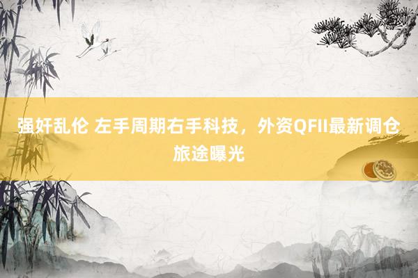 强奸乱伦 左手周期右手科技，外资QFII最新调仓旅途曝光