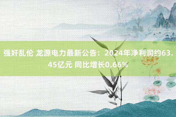 强奸乱伦 龙源电力最新公告：2024年净利润约63.45亿元 同比增长0.66%