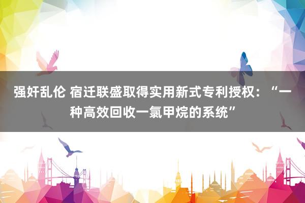 强奸乱伦 宿迁联盛取得实用新式专利授权：“一种高效回收一氯甲烷的系统”